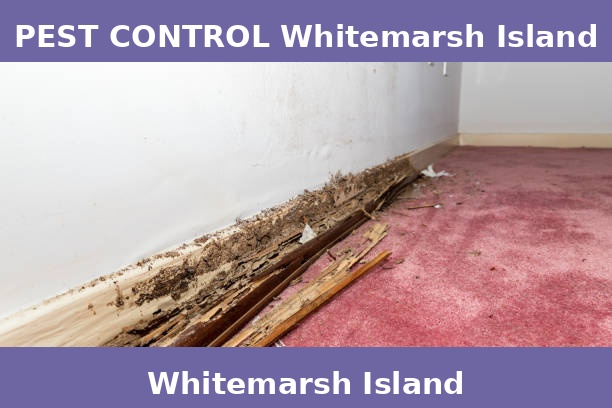 PEST CONTROL Whitemarsh Island